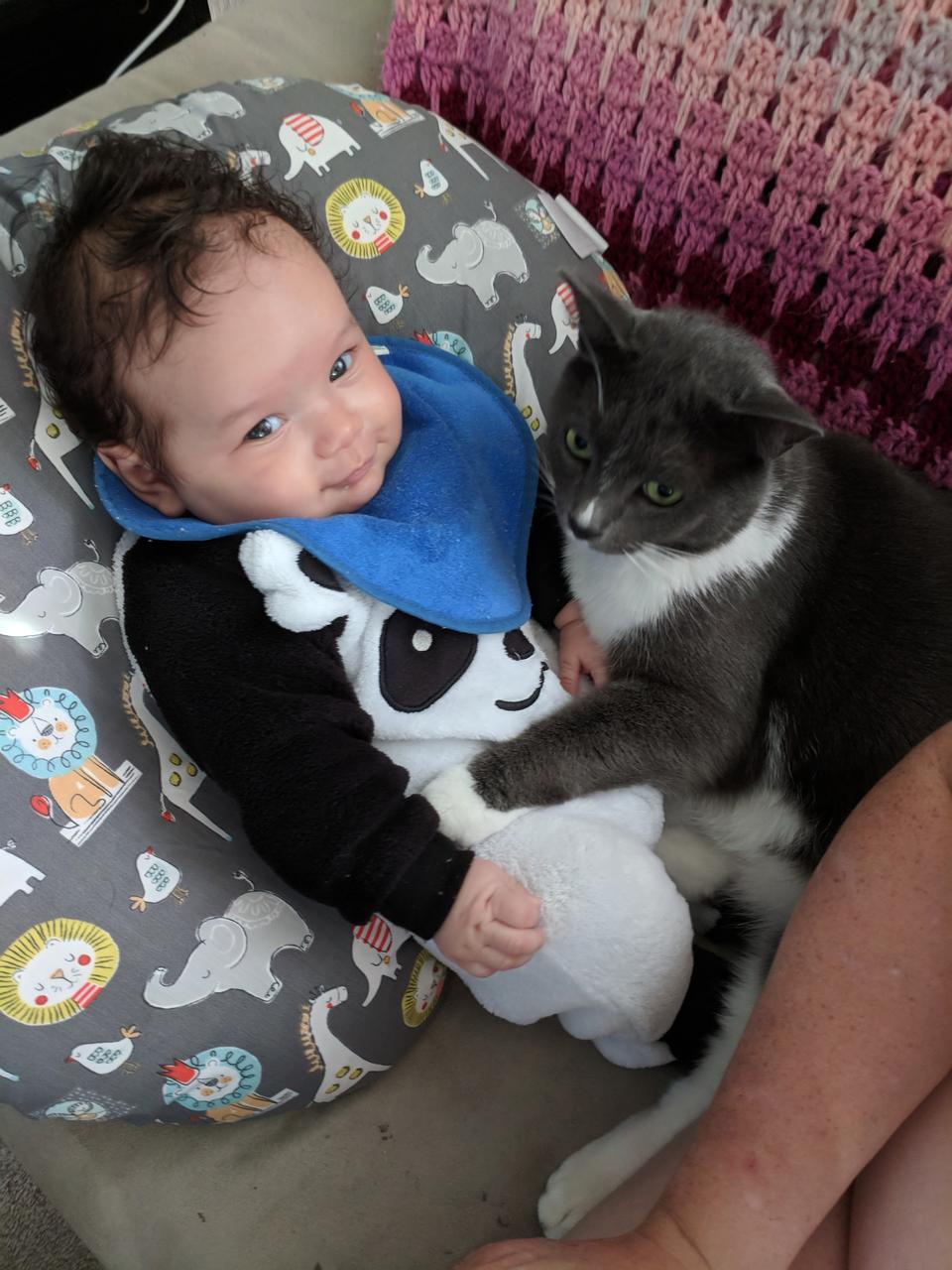 Tips for cosleeping with cat r/NewParents